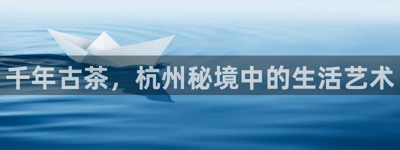龙八国际是缅甸的吗