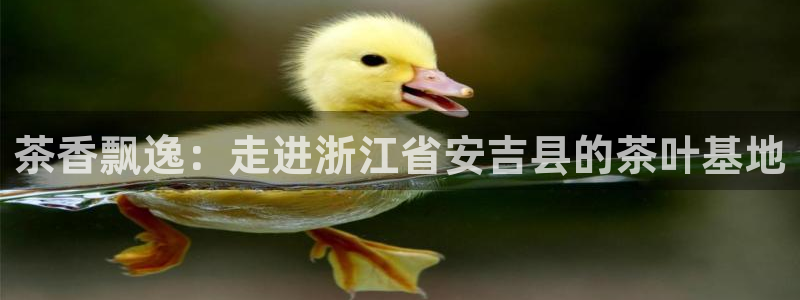 下载龙八国际手机端