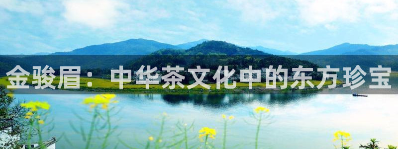 龙八国际客户端下载官网