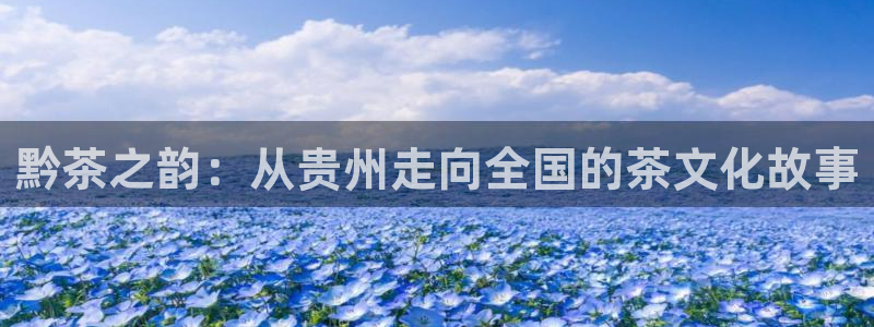 l龙八国际网页登录