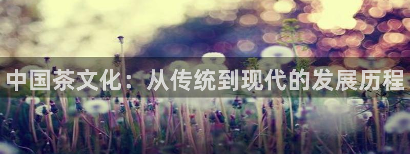 龙八国际娱乐靠谱吗