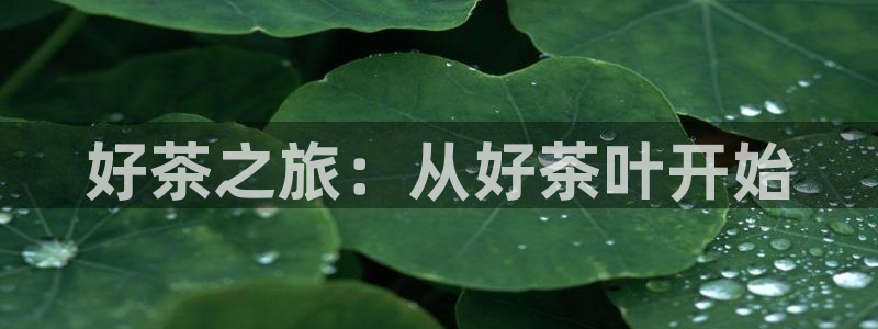 龙八国际娱乐官网下载