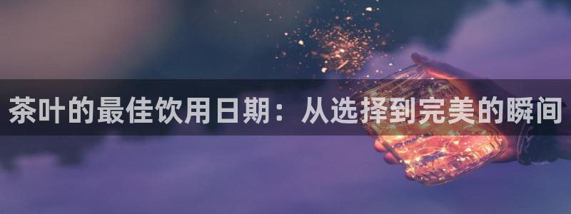 龙八国际视频网站