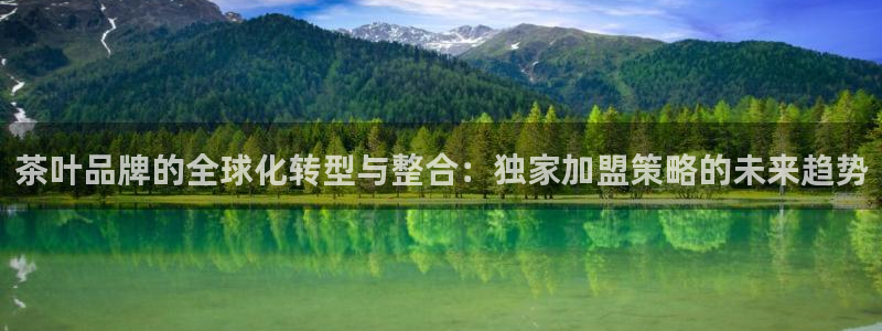 龙八国际服官网站