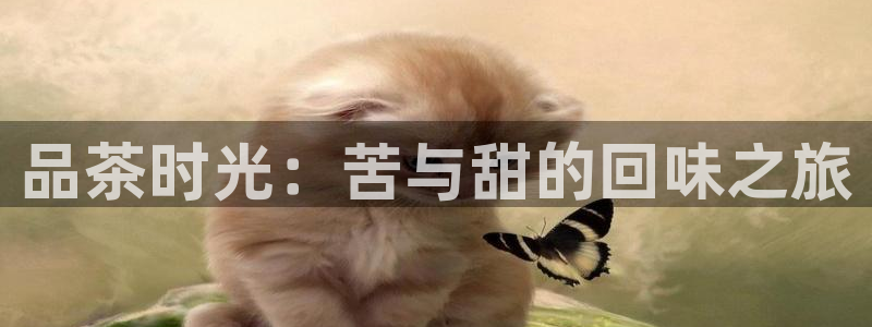 龙八国际怎么注册手机端