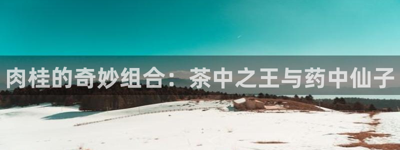 龙八国际网址是多少