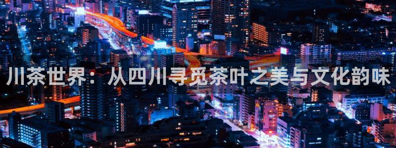 龙八国际服官网下载