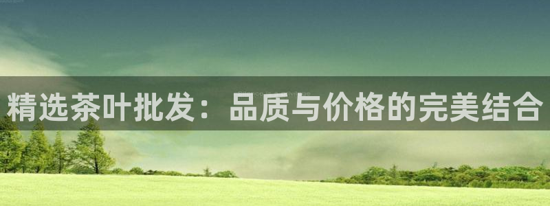 龙八国际官网网址