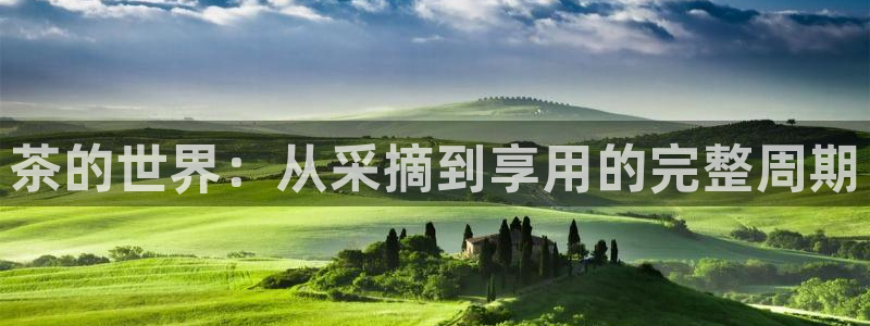 龙八国际客户端下载官网