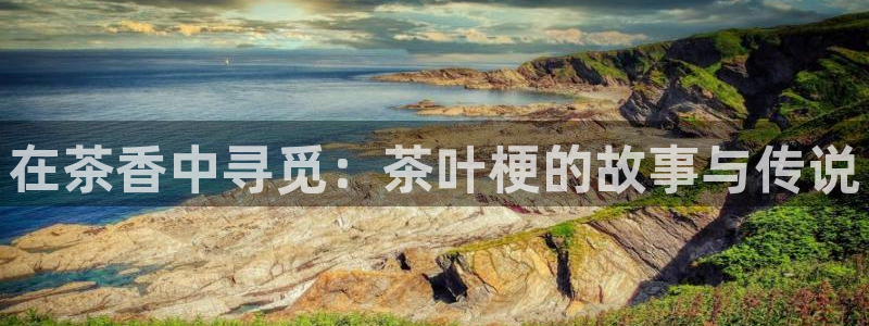 龙八国际下载链接官网