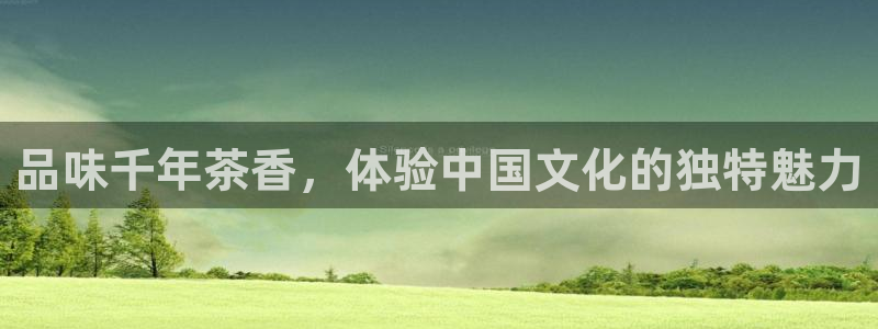 龙八国际官网客户服务