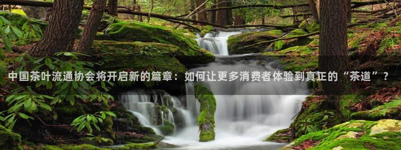 龙八国际手机版首页