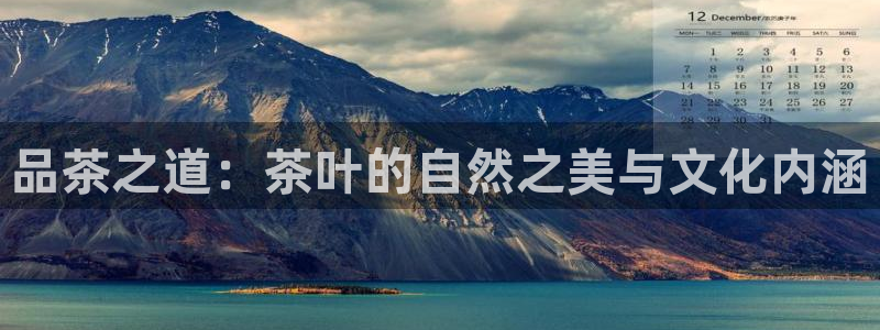 龙八国际app官网