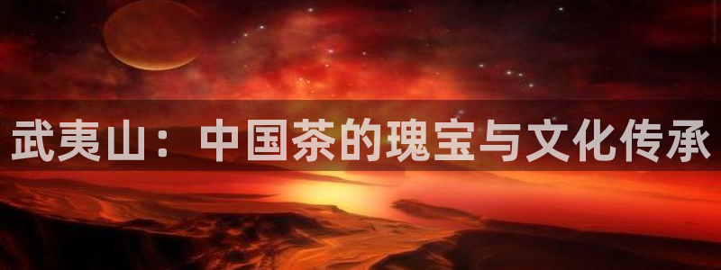 龙八国际优惠券有什么用