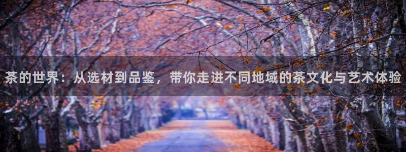 龙八国际城客运站电话