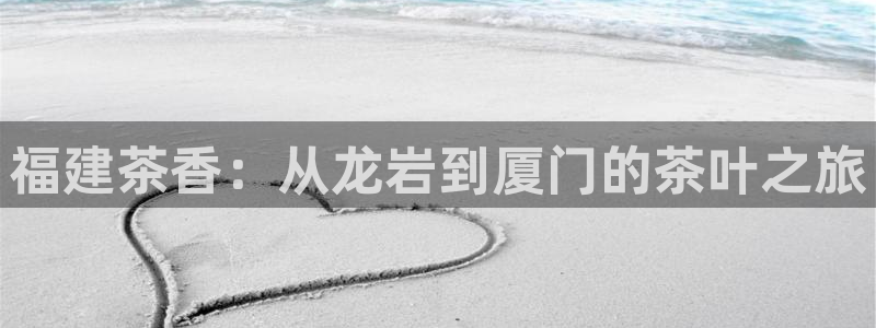 龙八国际官网安卓