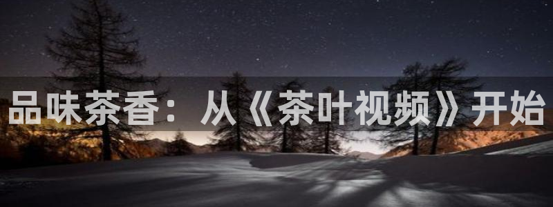 龙八国际娱乐官网