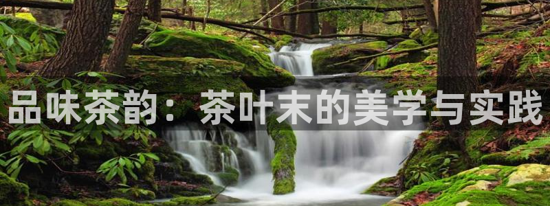 龙八国际手机下载安装