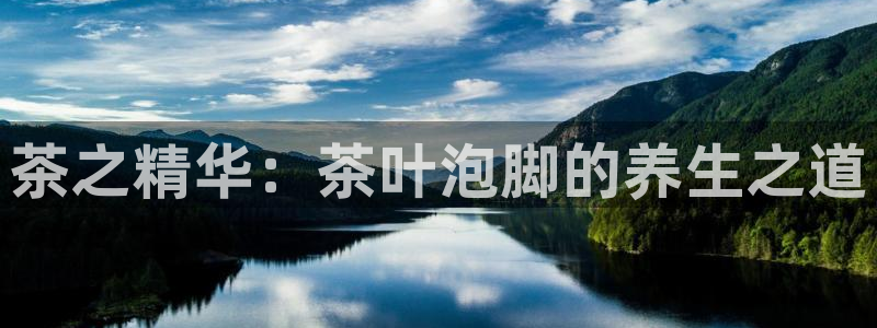 龙八国际app手机版下载安卓