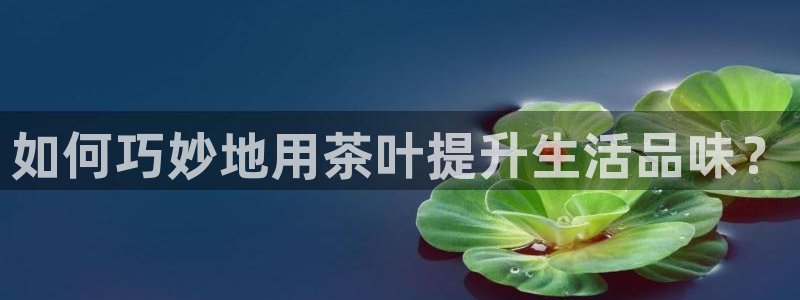 龙八国际娱乐手机登录