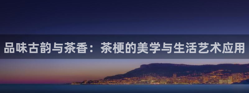 龙八国际彩金购买