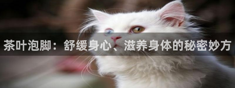 龙八国际注册f68点top