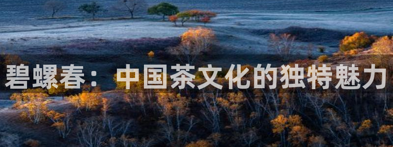 龙八国际手机网页版