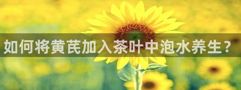 龙八国际下载链接一