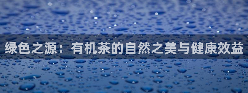 龙八国际app下载官网