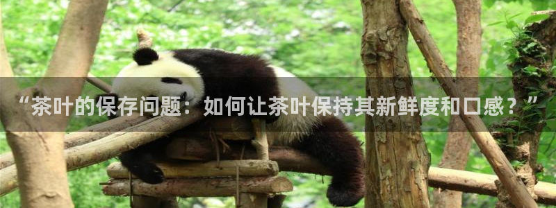 龙八国际网站手机版