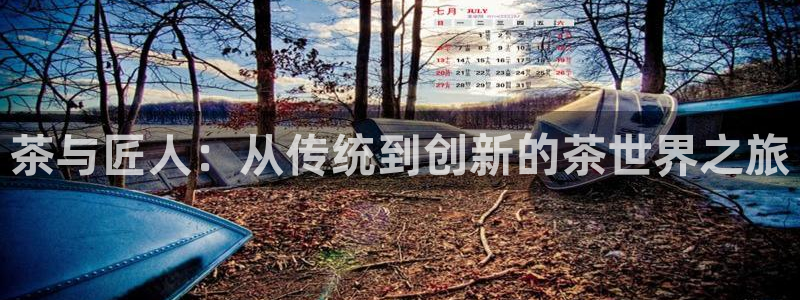 龙八国际登录网站