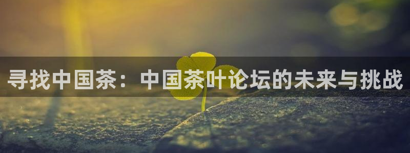 龙八国际娱乐官网