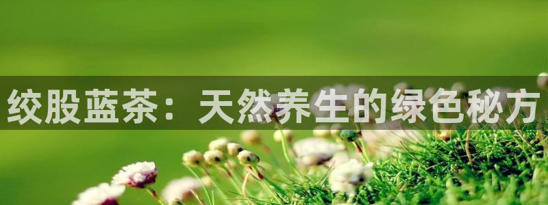 龙八国际手机版下载安装app