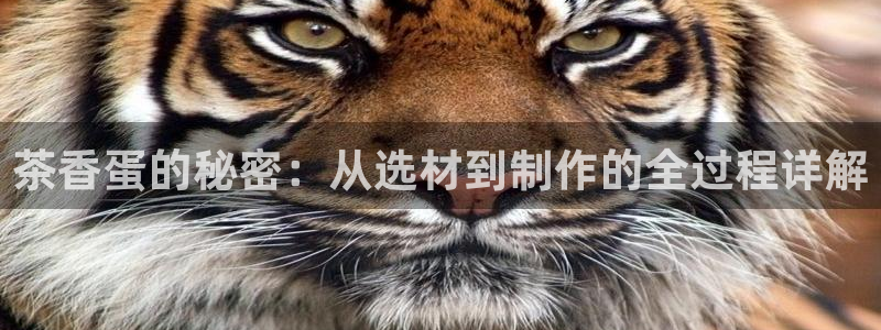 龙八国际app下载安装