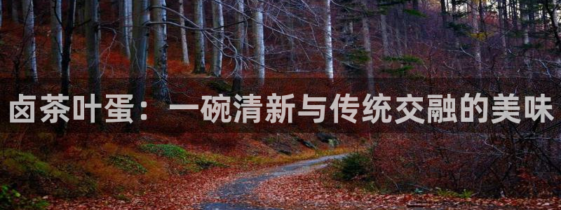 龙八国际官方登录