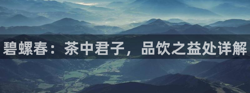 龙八国际游乐城