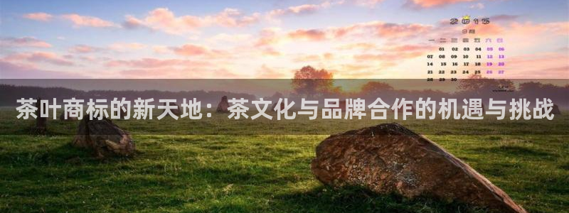 龙八国际官方旗舰店