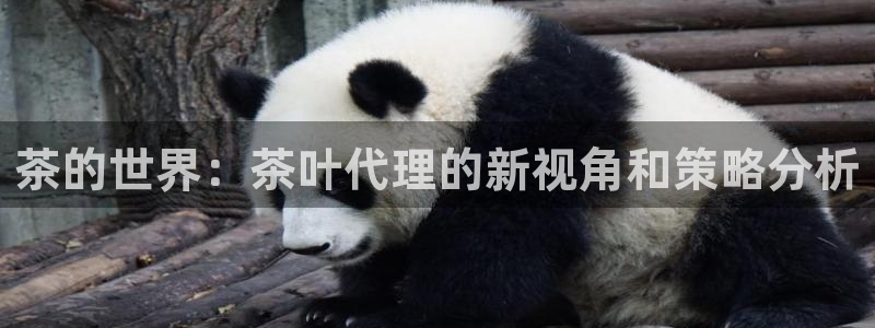 龙八国际网址是什么