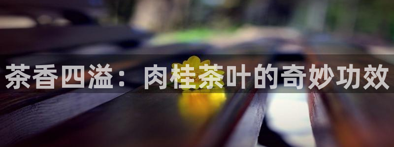 龙八国际怎么注册官网