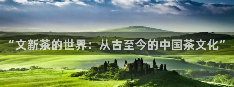 龙八国际网站全网