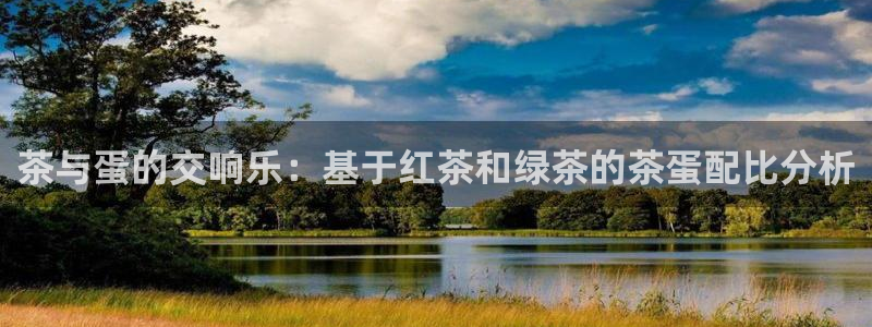 龙八国际棋牌官方网站