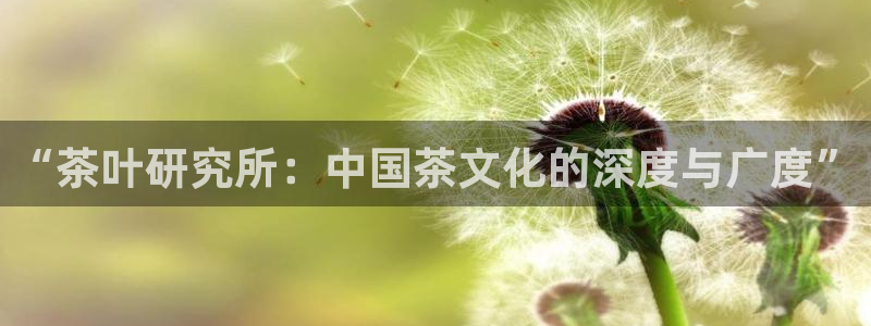 龙八国际菲律宾官网