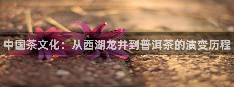 龙八国际官网下载安卓