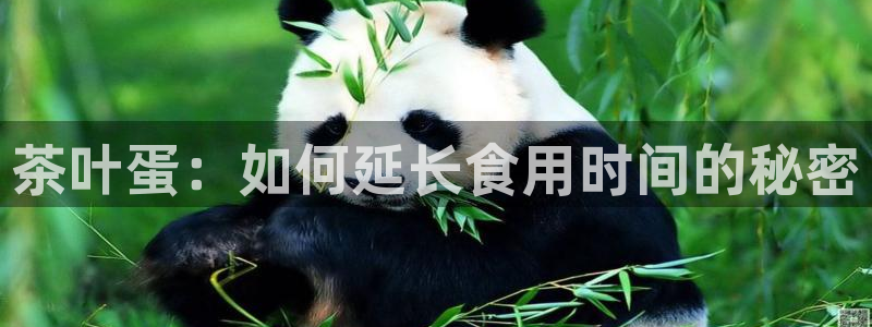 龙八国际花园宝宝