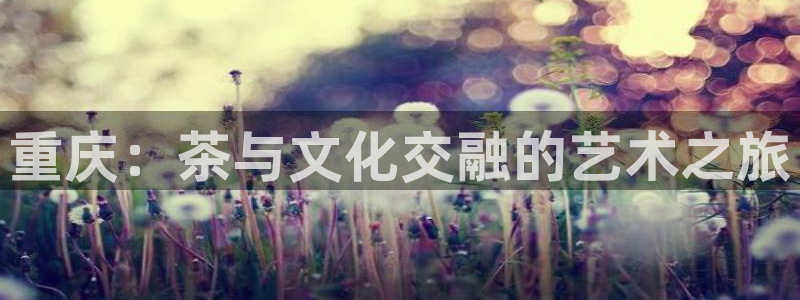 龙八国际娱乐App客户端下载