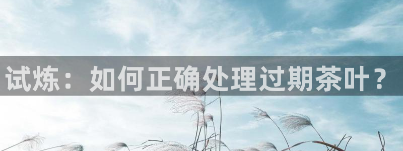 项目名称龙八国际