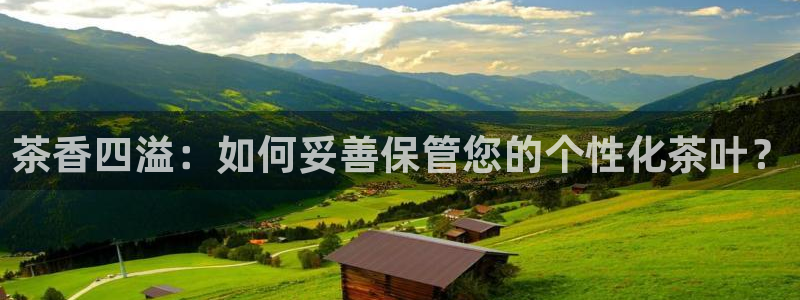 龙八国际手机登录入口