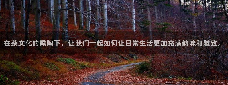 龙八国际跑路了吗