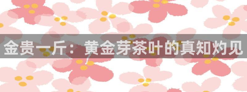 龙八国际优惠券