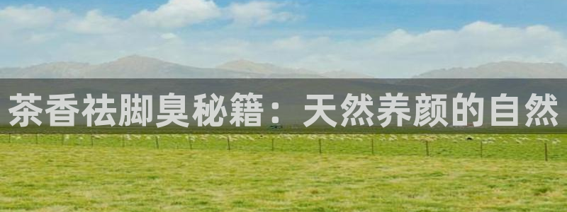 龙八国际平台网站